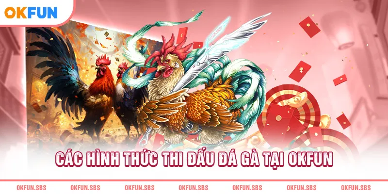 Các hình thức thi đấu đá gà tại OKFUN